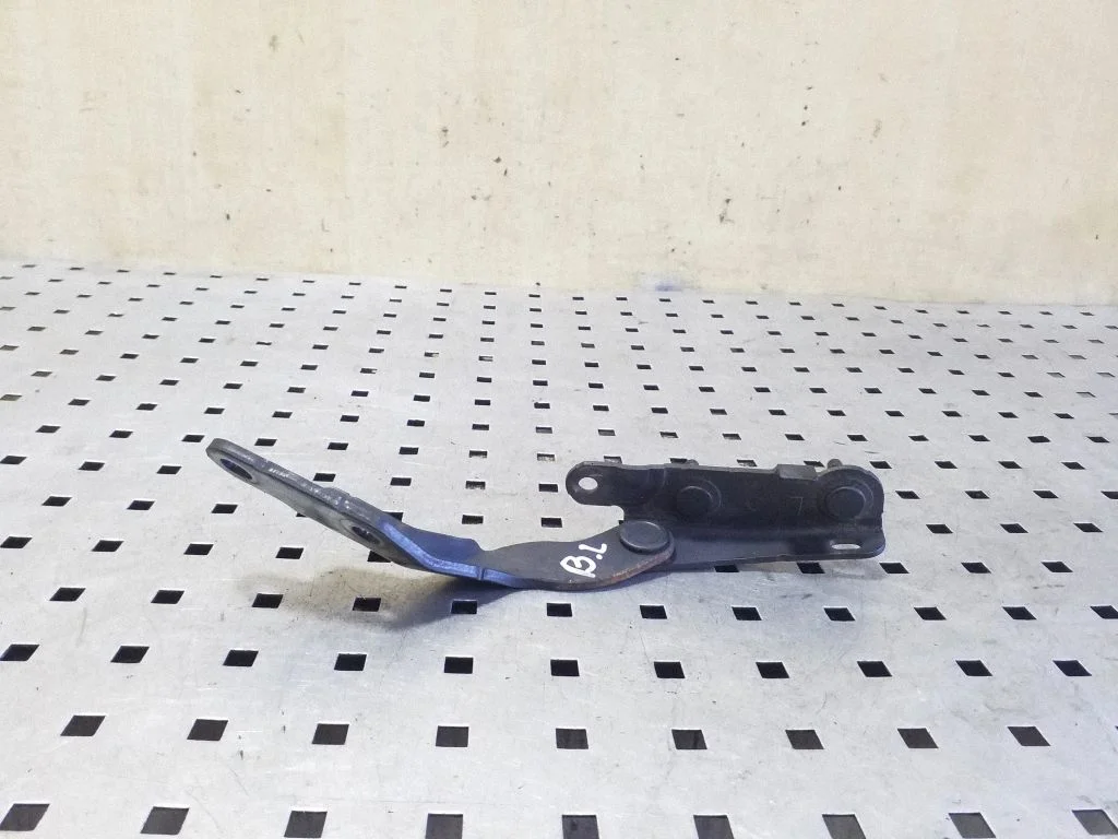 Tailgate/trunk/boot hinge – left