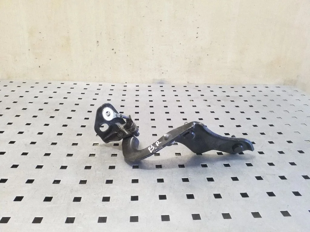 Tailgate/trunk/boot hinge DPLA42900A