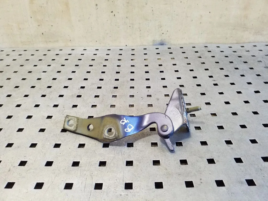 Tailgate/trunk/boot hinge – right