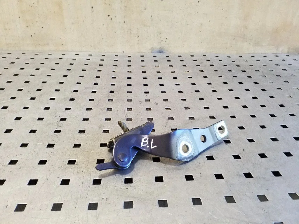Tailgate/trunk/boot hinge – left