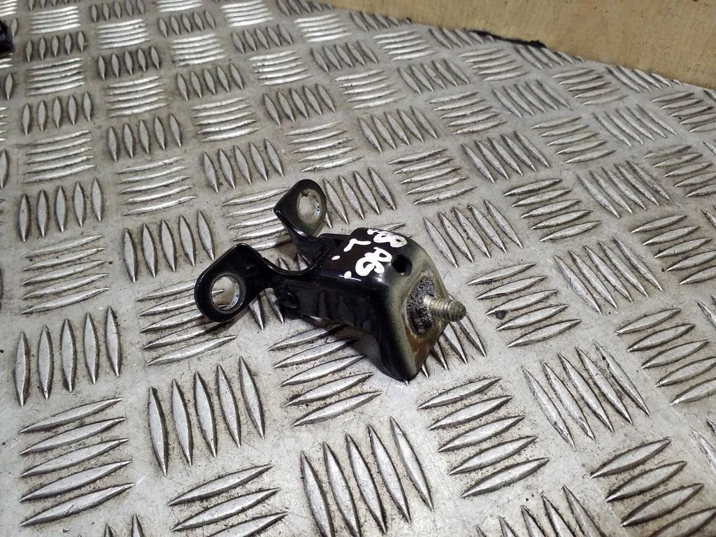 Tailgate/trunk/boot hinge – left