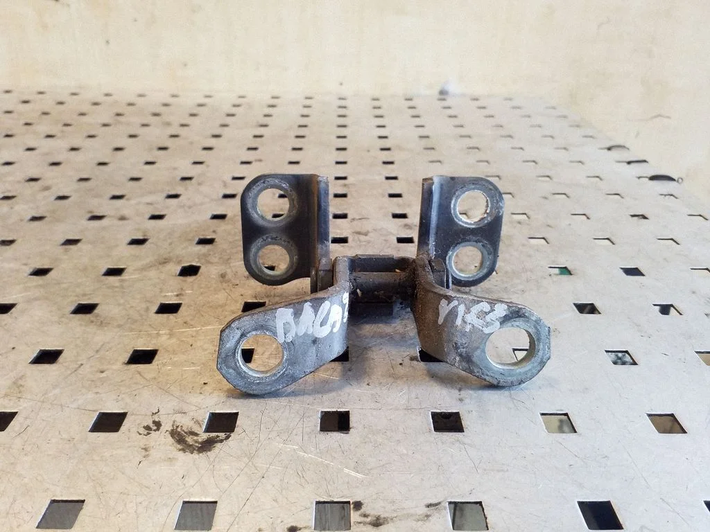 Tailgate/trunk/boot hinge