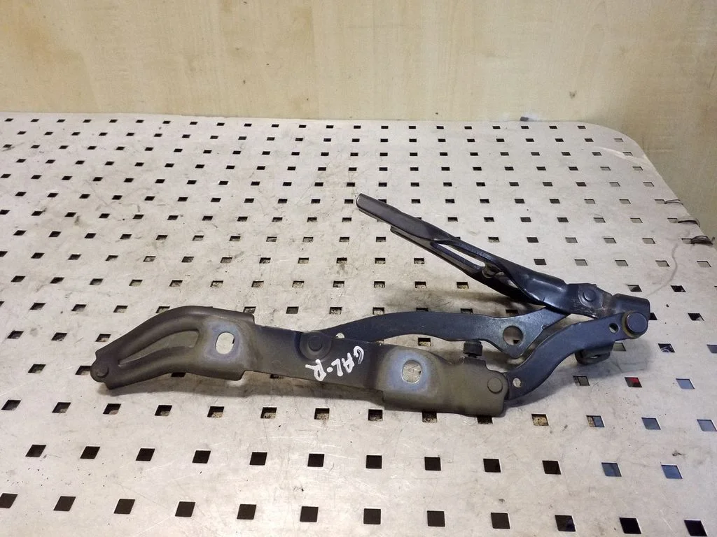 Tailgate/trunk/boot hinge 706062807