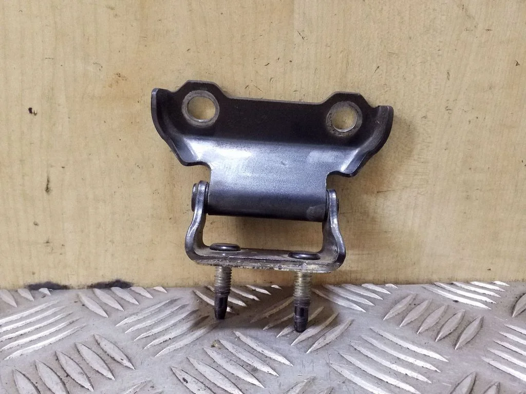 Tailgate/trunk/boot hinge