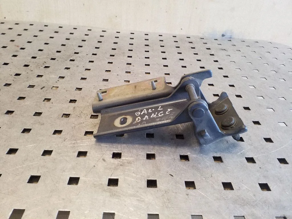Tailgate/trunk/boot hinge – left