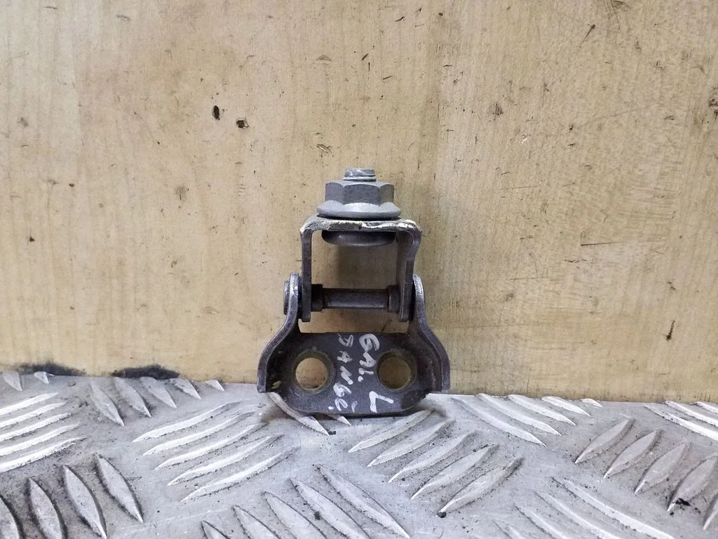 Tailgate/trunk/boot hinge – left