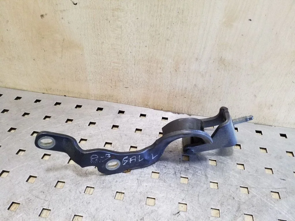 Tailgate/trunk/boot hinge – left