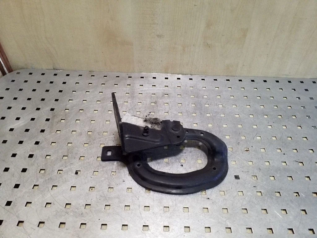 Tailgate/trunk/boot hinge – left