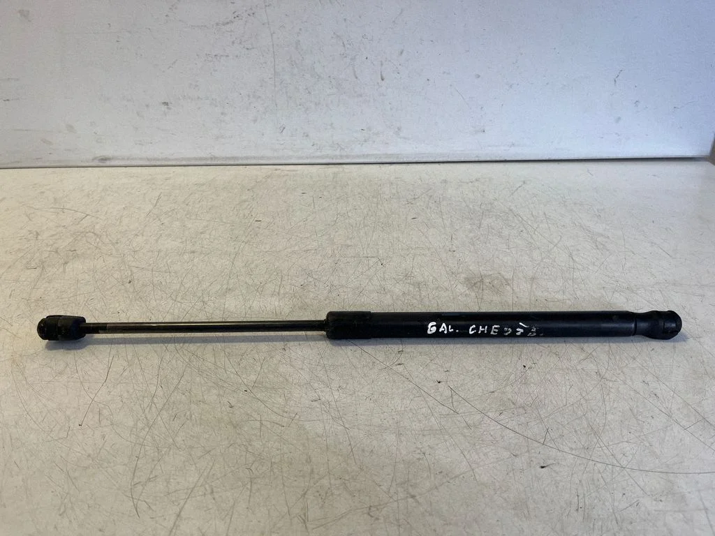 Tailgate/trunk strut/damper 24463829