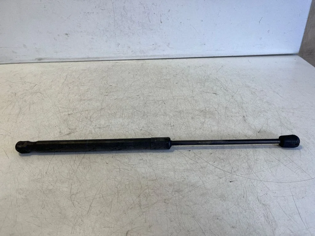 Tailgate/trunk strut/damper 24463829