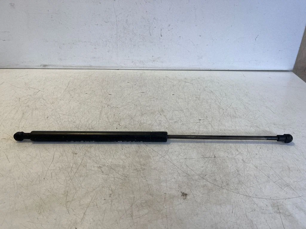 Tailgate/trunk strut/damper 6895005060