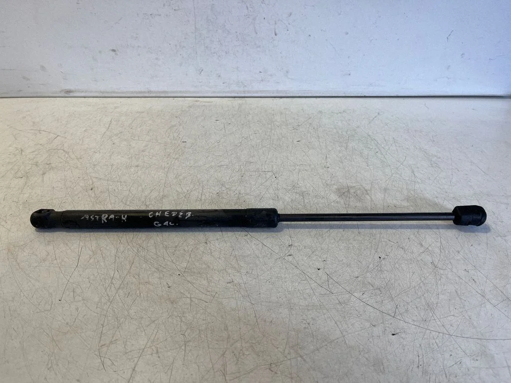 Tailgate/trunk strut/damper 24463829