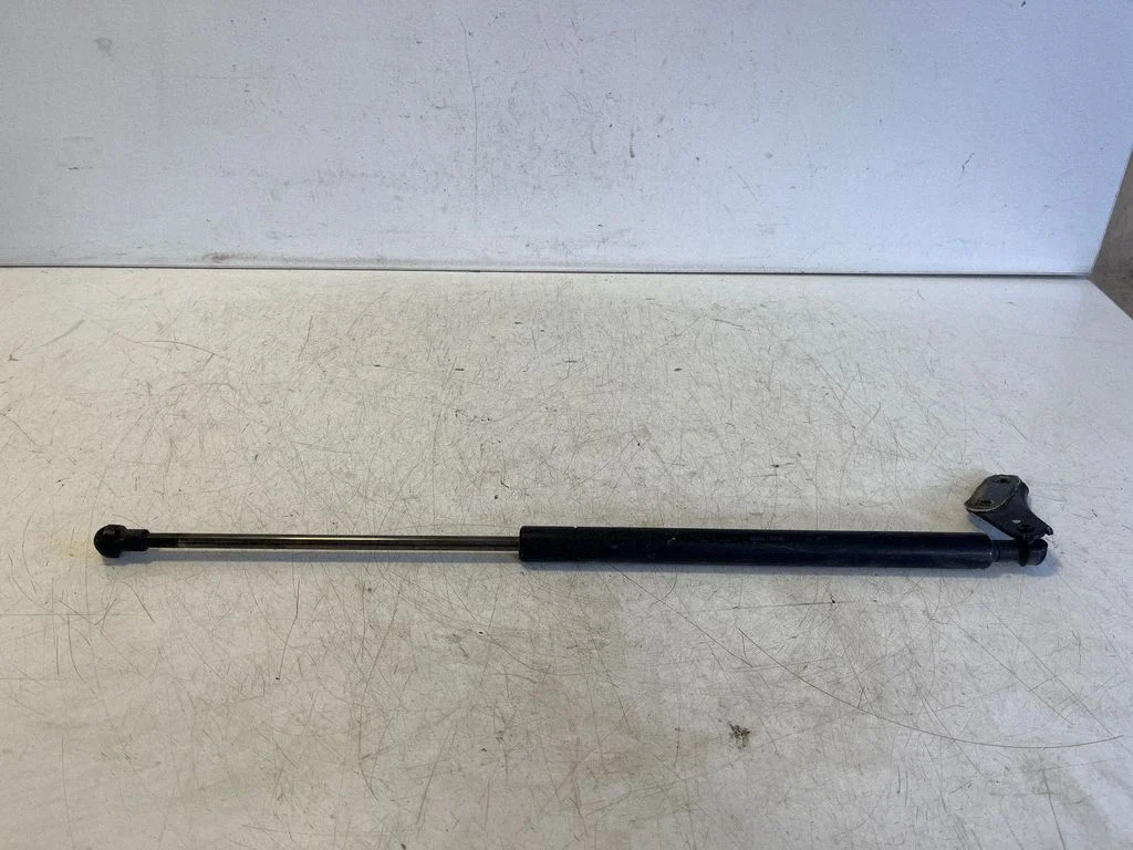 Tailgate/trunk strut/damper 6895005060