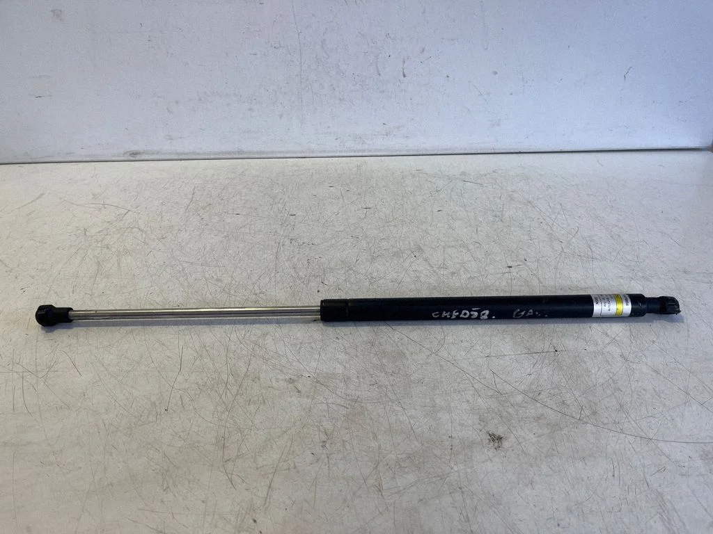 Tailgate/trunk strut/damper 1078654