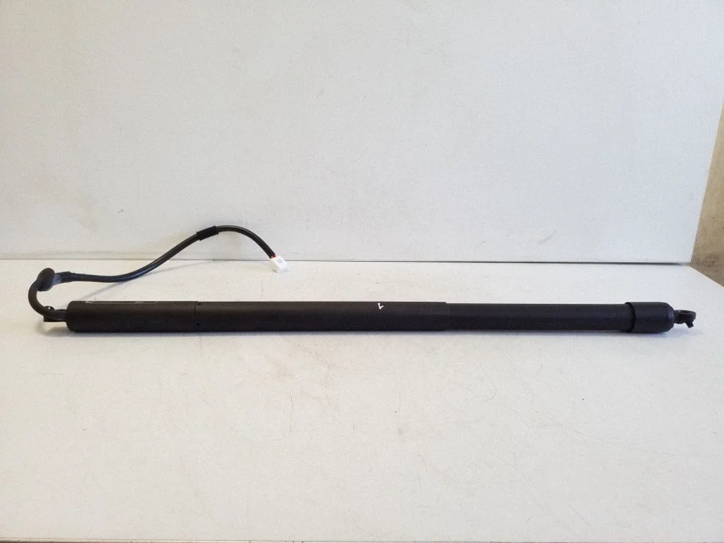 Tailgate/trunk strut/damper 6892010010
