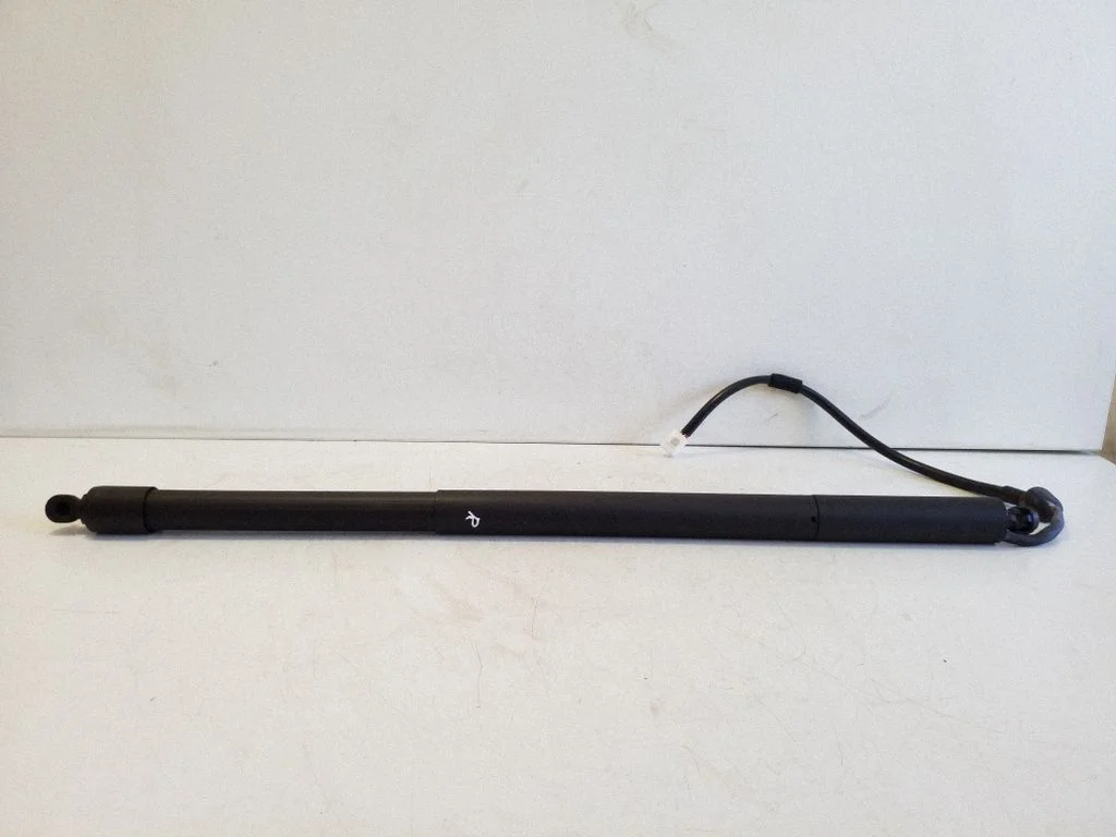 Tailgate/trunk strut/damper 6891010010