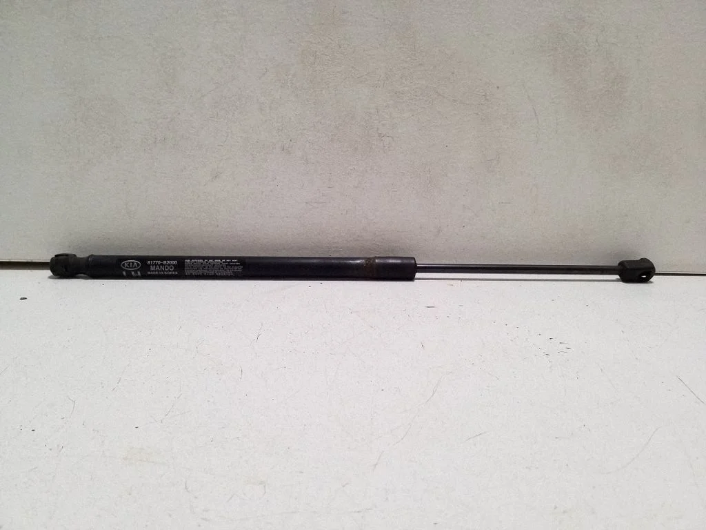Tailgate/trunk strut/damper