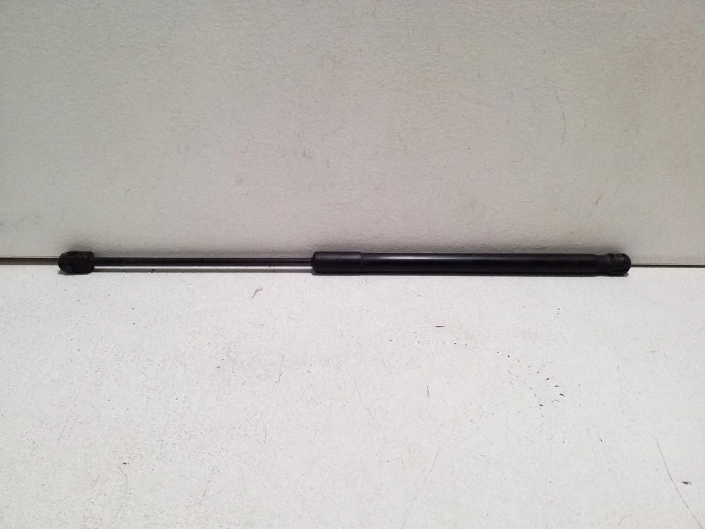 Tailgate/trunk strut/damper 00520176510