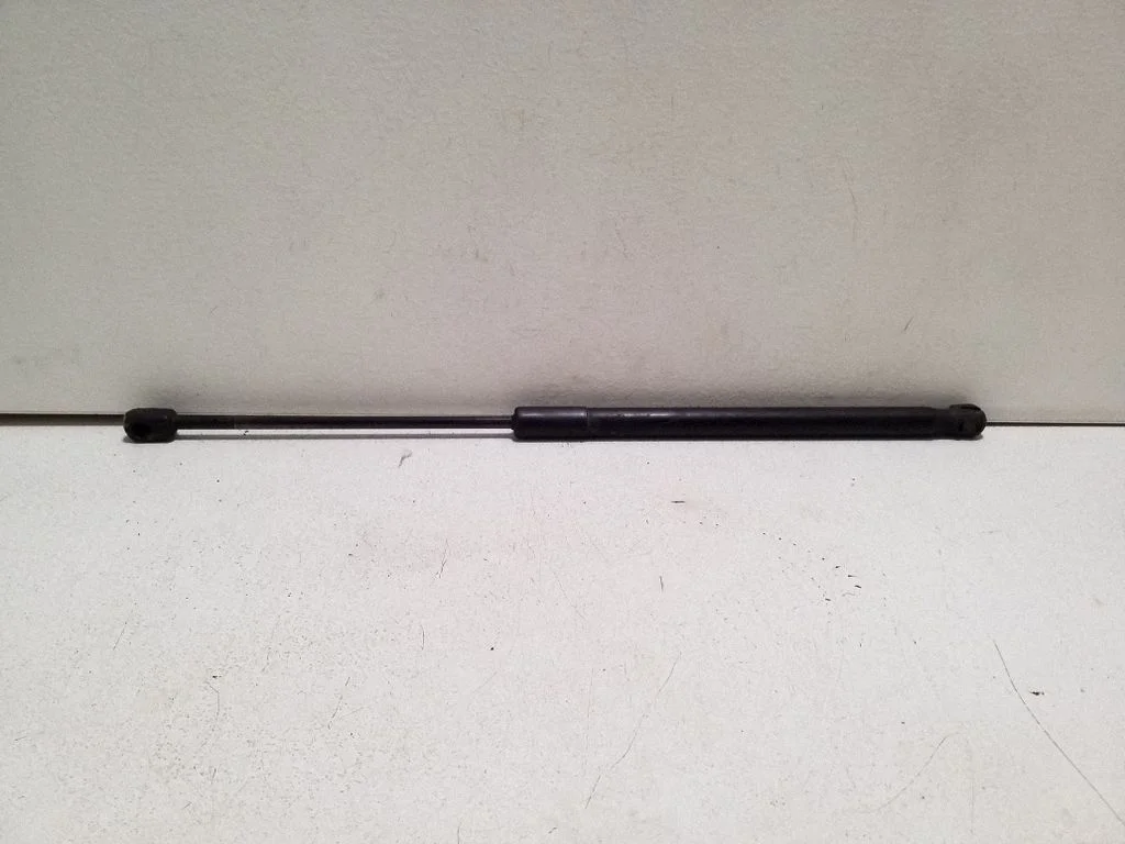 Tailgate/trunk strut/damper 00520176510