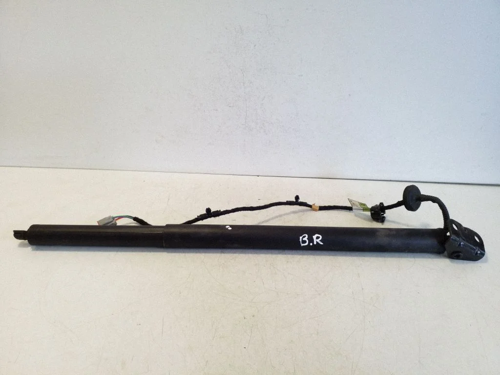 Tailgate/trunk strut/damper LV4BS402A54AF