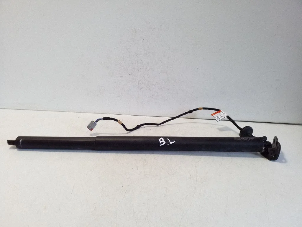 Tailgate/trunk strut/damper LV4BS402A55AF