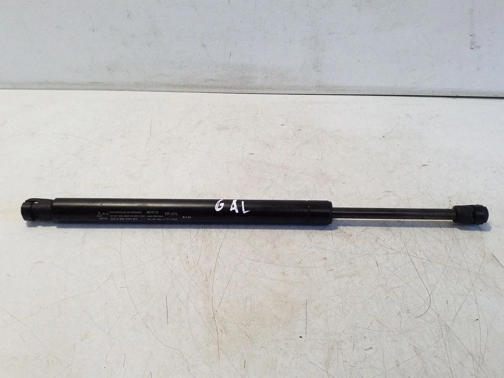 Tailgate/trunk strut/damper