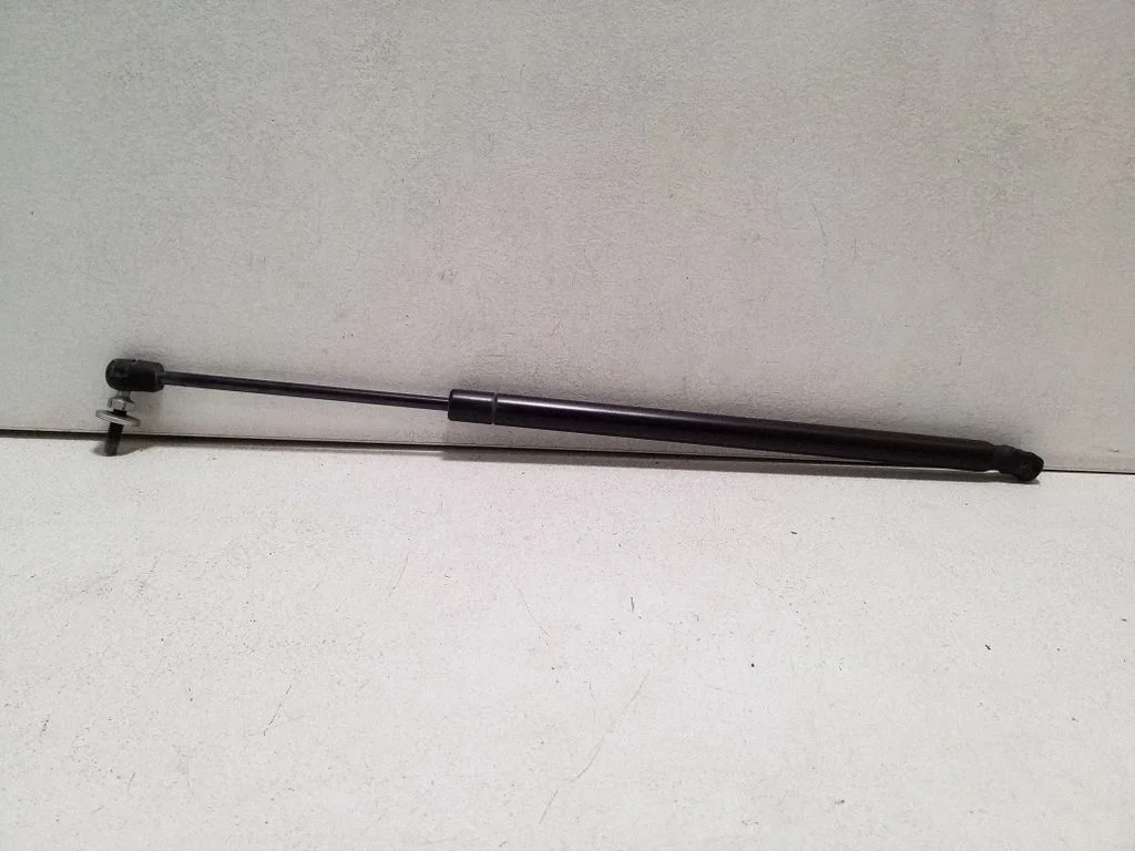 Tailgate/trunk strut/damper 55360915AB