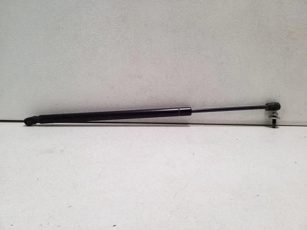 Tailgate/trunk strut/damper