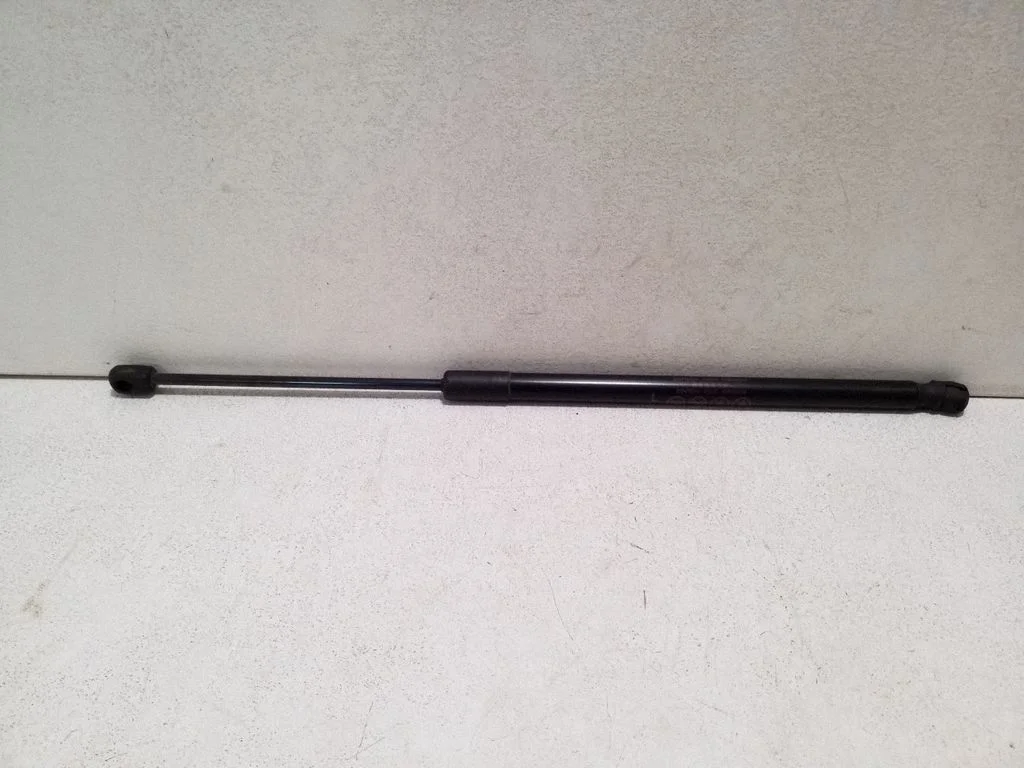 Tagaluugi gaasiamortisaator 7507300530N