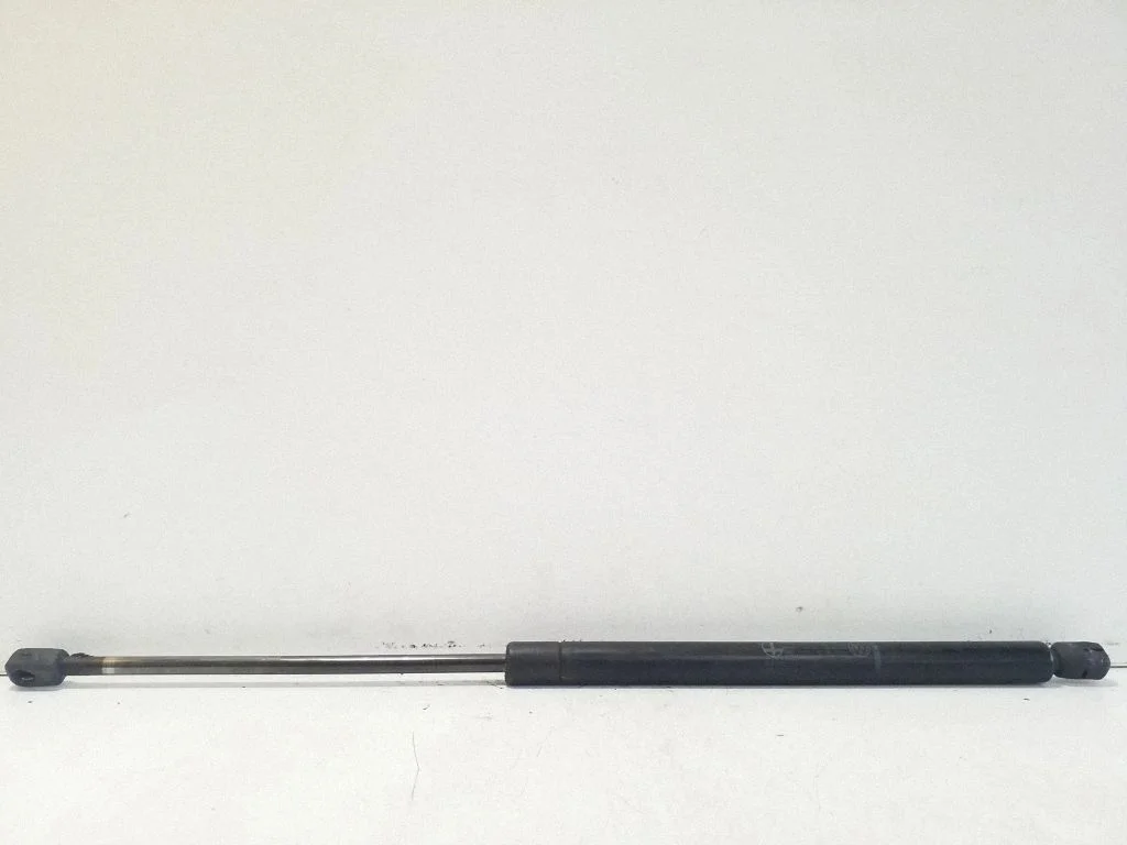 Tagaluugi gaasiamortisaator 701829331F