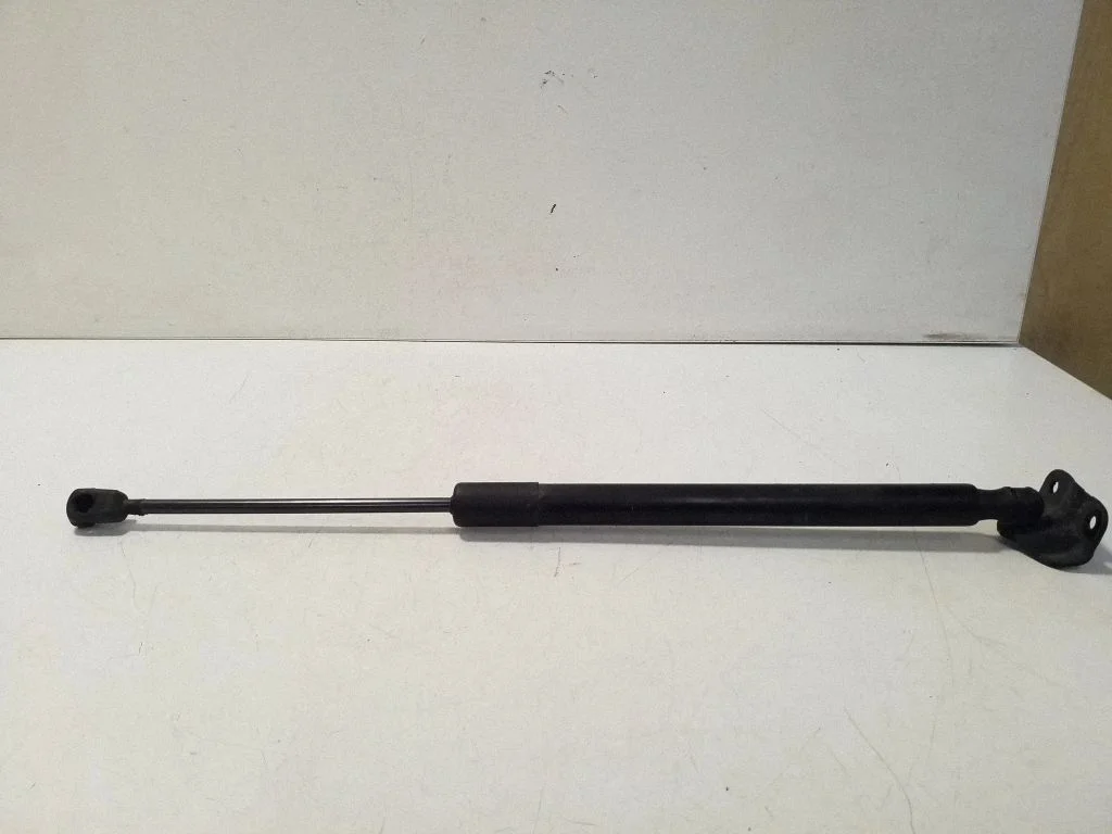 Tailgate/trunk strut/damper 13387067