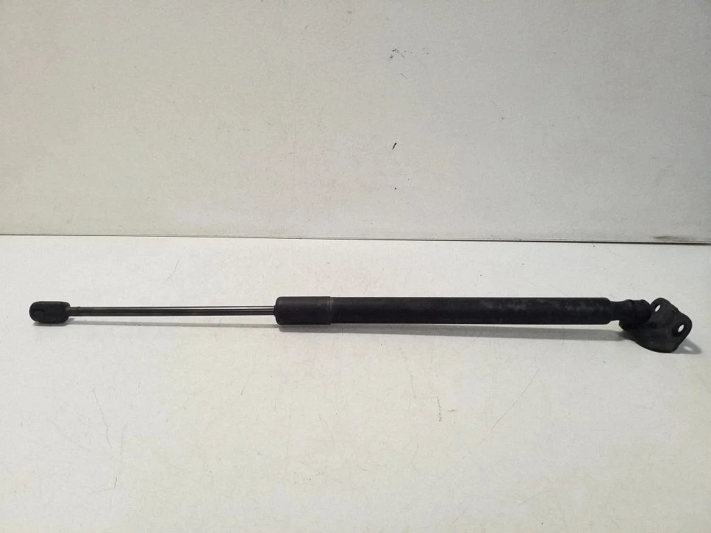 Tailgate/trunk strut/damper 13387067