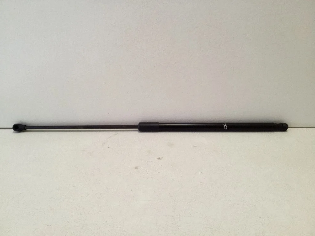 Tailgate/trunk strut/damper 6895002191