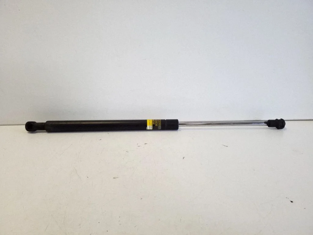 Tailgate/trunk strut/damper