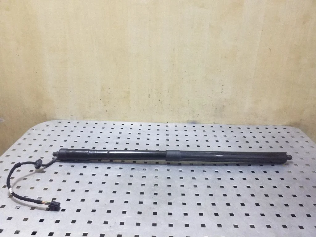 Tailgate/trunk strut/damper CPLA70354BC