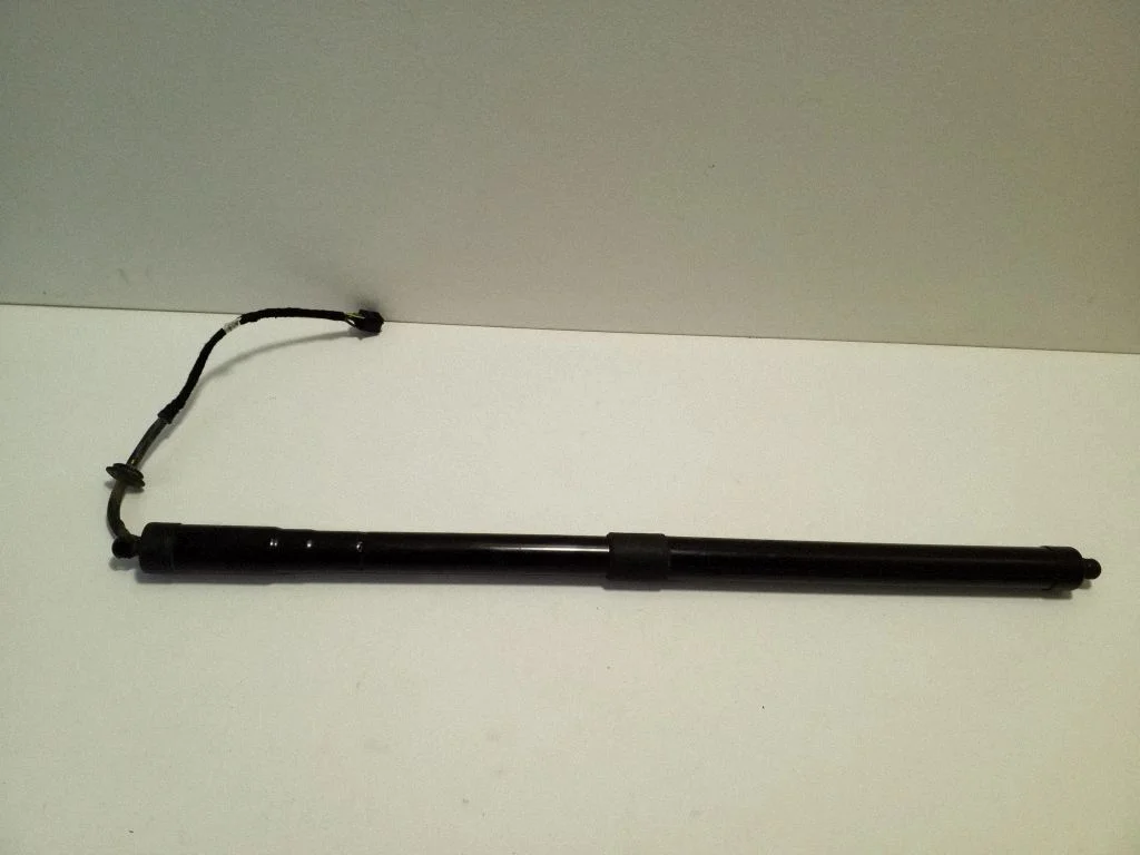Tailgate/trunk strut/damper CPLA70354BC