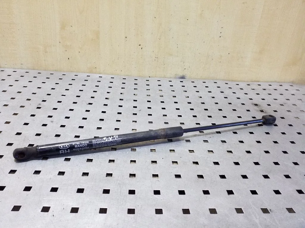 Tailgate/trunk strut/damper 817801W200