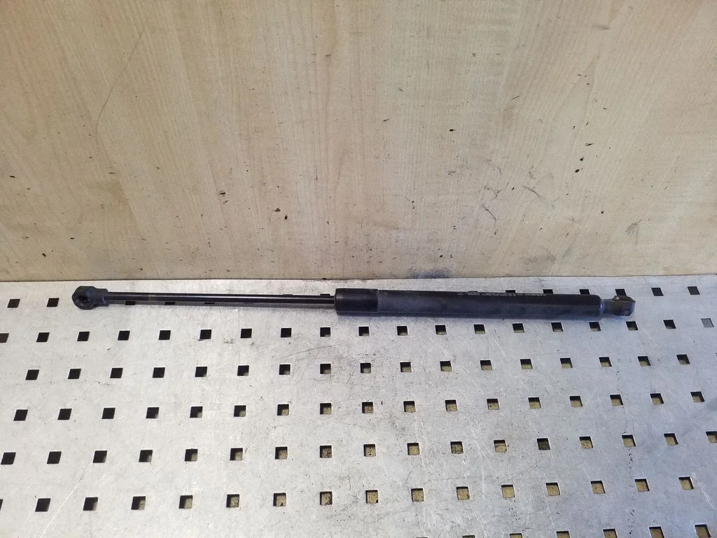 Tailgate/trunk strut/damper 904529943R