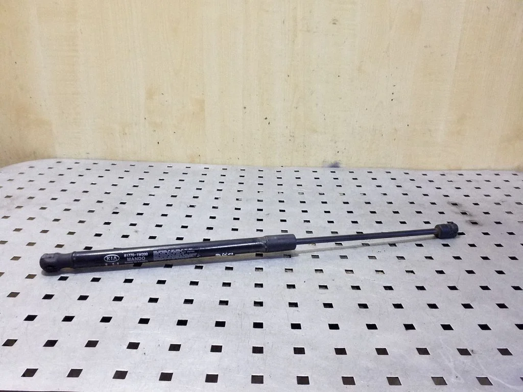 Tailgate/trunk strut/damper 817701W200