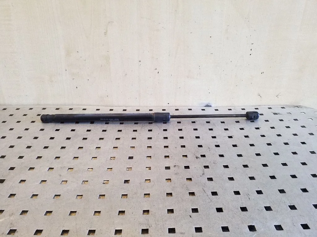 Tailgate/trunk strut/damper