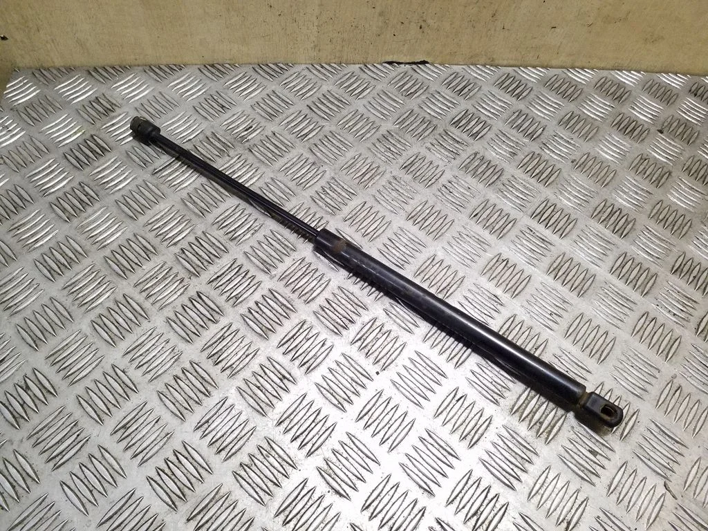 Tailgate/trunk strut/damper