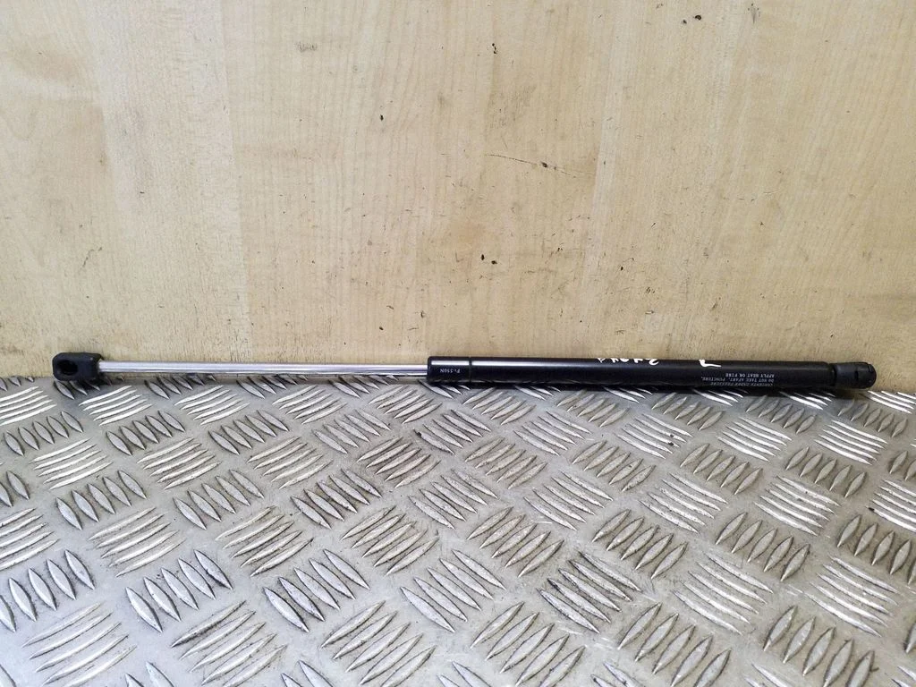 Tailgate/trunk strut/damper
