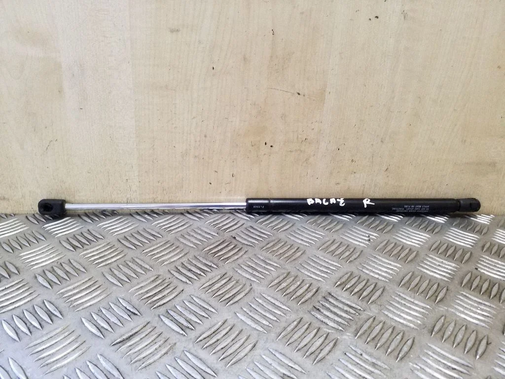 Tailgate/trunk strut/damper