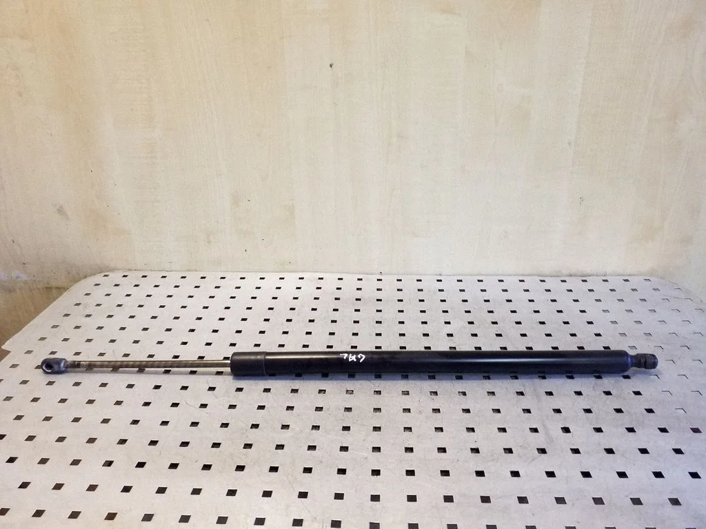Tailgate/trunk strut/damper 7H082755003S