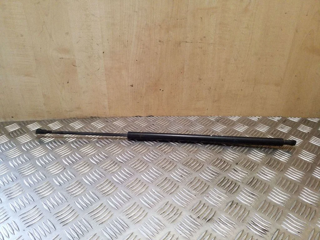 Tailgate/trunk strut/damper