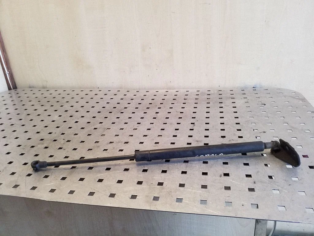 Tailgate/trunk strut/damper 689500W140