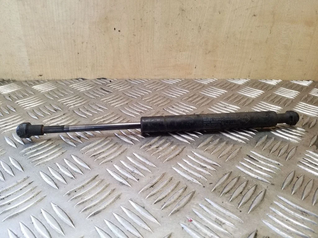 Tailgate/trunk strut/damper 30852059