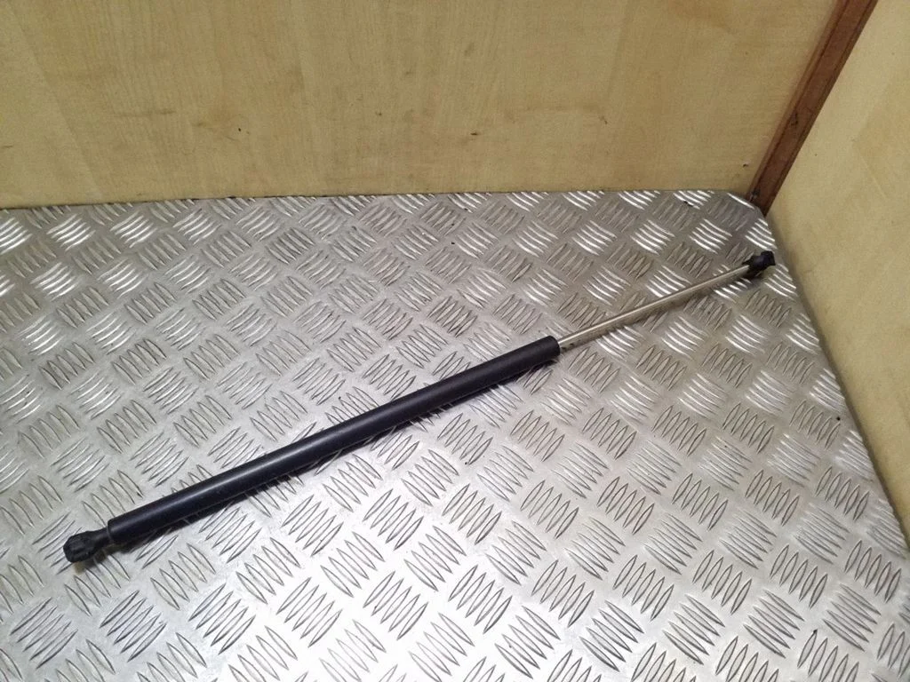 Tailgate/trunk strut/damper