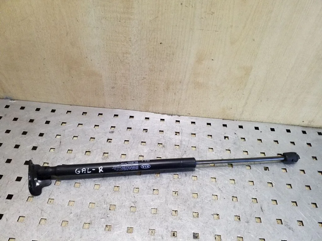 Tailgate/trunk strut/damper 817803W000