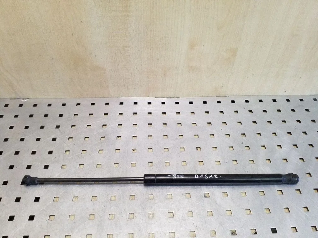 Tailgate/trunk strut/damper